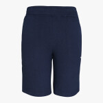 Men’s Sports Shorts Dark Navy