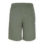 Men’s Sports Shorts Olive